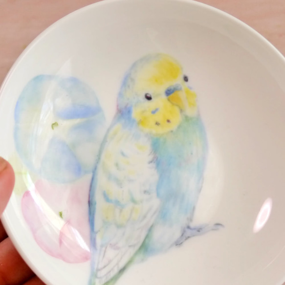 「朝顔と水色のセキセイインコ」手書きの小鳥のお皿　 2枚目の画像