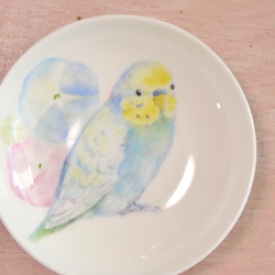 「朝顔と水色のセキセイインコ」手書きの小鳥のお皿　 3枚目の画像