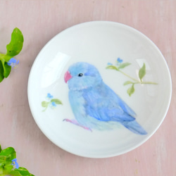「つゆ草と水色の小鳥マメルリハ」手書きの小鳥のお皿　 1枚目の画像