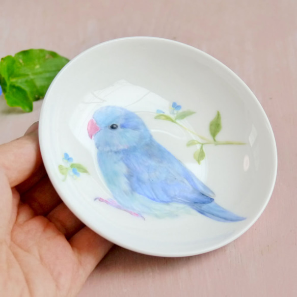 「つゆ草と水色の小鳥マメルリハ」手書きの小鳥のお皿　 3枚目の画像