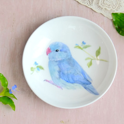 「つゆ草と水色の小鳥マメルリハ」手書きの小鳥のお皿　 4枚目の画像