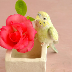 “限量手工製造2019年”Sekisei長尾小鸚鵡（小鳥陶器裝飾品）的配飾 第5張的照片
