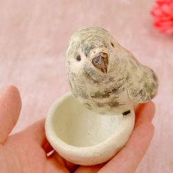 中型インコ　ヨウムの陶器の小物入れ 2枚目の画像