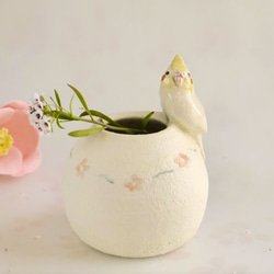 圓形花瓶的鸚鵡（小鳥對象） 第1張的照片