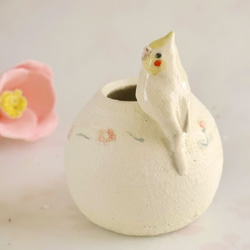 圓形花瓶的鸚鵡（小鳥對象） 第2張的照片