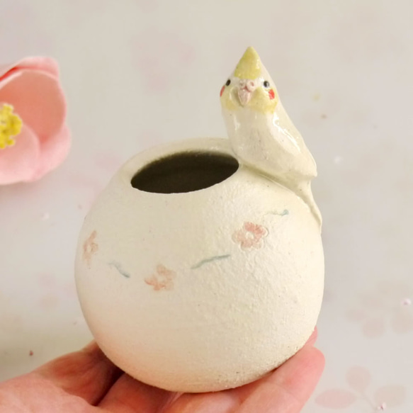 圓形花瓶的鸚鵡（小鳥對象） 第5張的照片