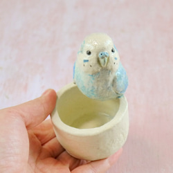水色のセキセイインコの小物入れ（小鳥の陶器の置物） 4枚目の画像