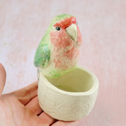 コザクラインコの小物入れ（小鳥の陶器の置物） 3枚目の画像