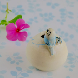 藍鳥虎皮鸚鵡和四葉圓迷你花瓶（鳥對象） 第1張的照片