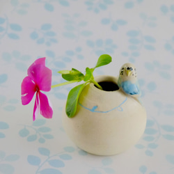 藍鳥虎皮鸚鵡和四葉圓迷你花瓶（鳥對象） 第2張的照片