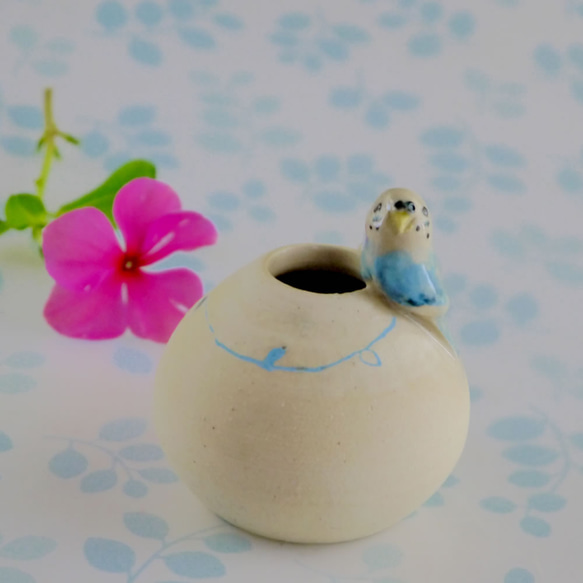 藍鳥虎皮鸚鵡和四葉圓迷你花瓶（鳥對象） 第3張的照片