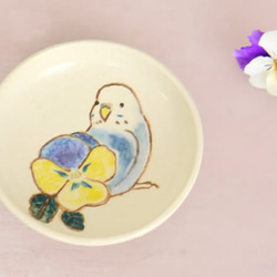 鳥豆盤子“藍色鸚哥和三色堇” 第1張的照片