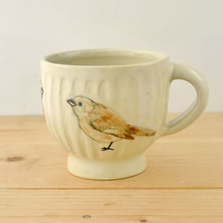 小鳥杯“ Daurian Redstart” 第1張的照片