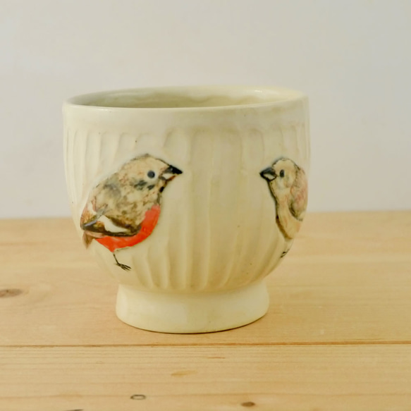小鳥杯“ Daurian Redstart” 第2張的照片