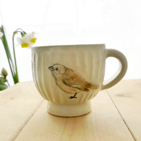 小鳥杯“ Daurian Redstart” 第3張的照片