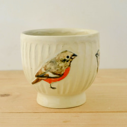 小鳥杯“ Daurian Redstart” 第5張的照片