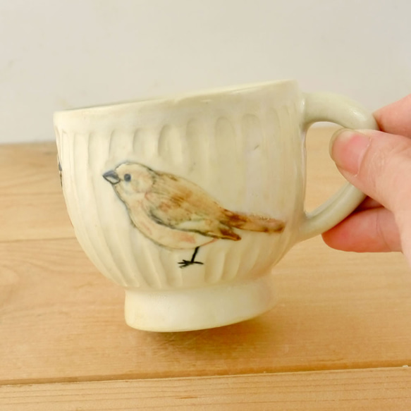 小鳥杯“ Daurian Redstart” 第6張的照片