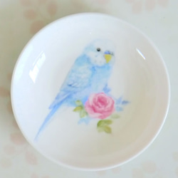“虎皮鸚鵡和粉紅色迷你玫瑰”手繪鳥板 第3張的照片