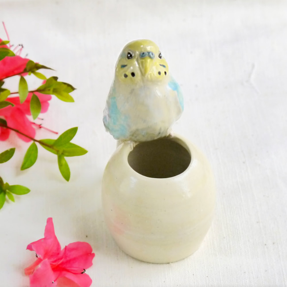 單輪虎皮鸚鵡（陶瓷小鳥物體） 第2張的照片
