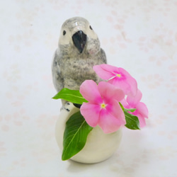 中型鸚鵡鸚鵡（陶器的小鳥物體）的單輪刺 第2張的照片