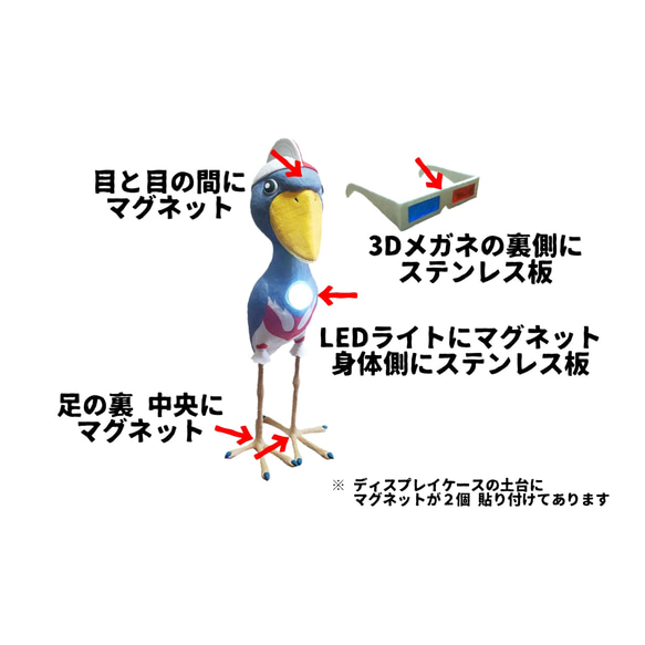 ハシビロマン 9枚目の画像