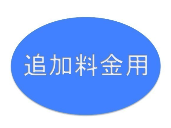 Ichco様専用窓口　追加料金5,000円 1枚目の画像