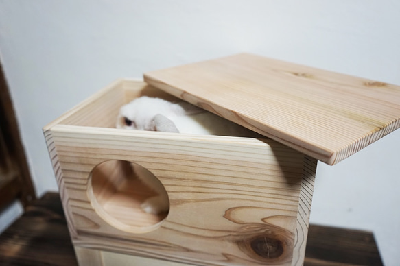 子ウサギさんのおうち♪木製ハウス（杉無垢材）/階段付き[小ウサギ・テグー・リス] 5枚目の画像