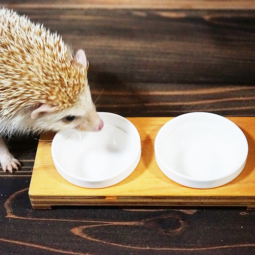 【超歓迎】 小動物用ゲージセット、床暖房、回し車などハリネズミ その他