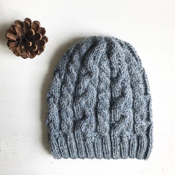 tm litmus グレー ニット帽 ビーニー BEANIE – F-LAGSTUF-F