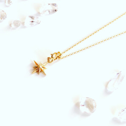 K18 唐草バチカン星型ネックレス ◇Migut ONE necklace 1枚目の画像