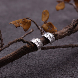 植物 葉子 鳳凰木 | 純銀耳環 第1張的照片