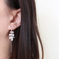 Pepper Tree Leaf Earrings Sterling Silver Leaf Series 3枚目の画像