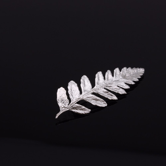 Rumohra Adiantiformis Leaf Silver Brooch - Nature Plant 1枚目の画像