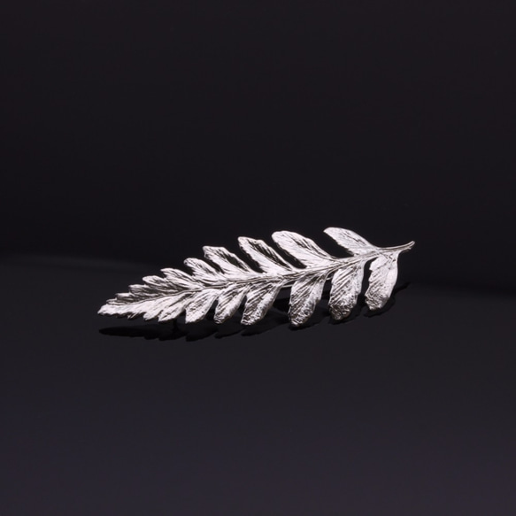 Rumohra Adiantiformis Leaf Silver Brooch - Nature Plant 2枚目の画像