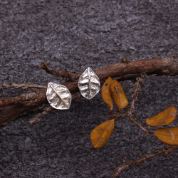 植物 葉子 紅彩木 | 純銀耳環 夾式耳環 第1張的照片