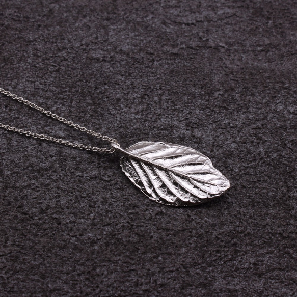 Fittonia Albivenis Leaf Silver Necklace - Nature Plant 2枚目の画像