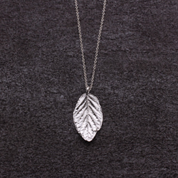 Fittonia Albivenis Leaf Silver Necklace - Nature Plant 3枚目の画像