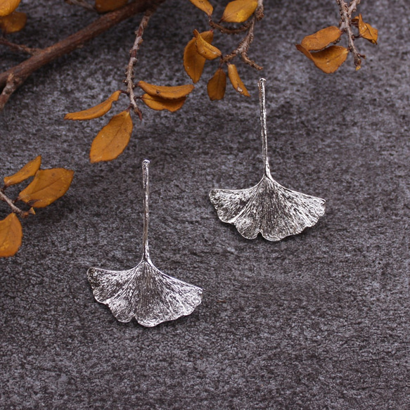 Ginkgo Leaf Earrings Sterling Silver Leaf Series 1枚目の画像