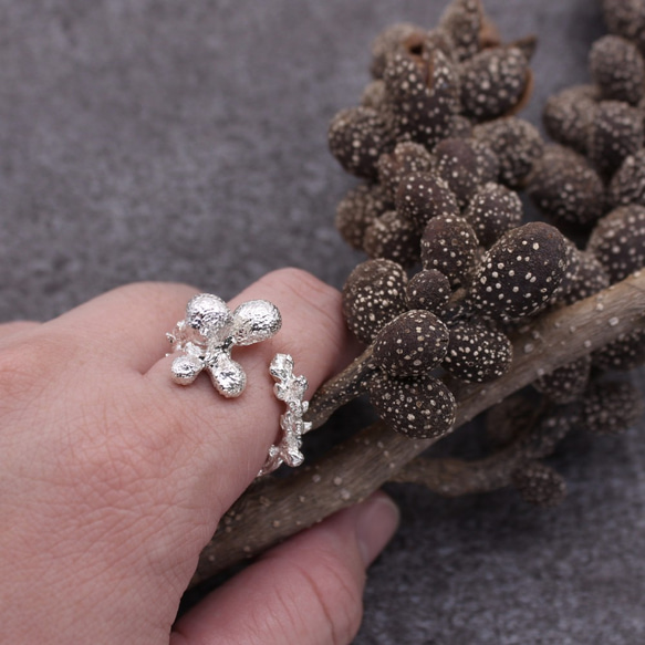 Champac Michelia Fruit 925 Sterling Silver Ring Nature Plant 4枚目の画像