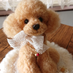 599♥︎トイプードル・羊毛フェルト❣️ 1_039298f26b182f5c4711b9df5711