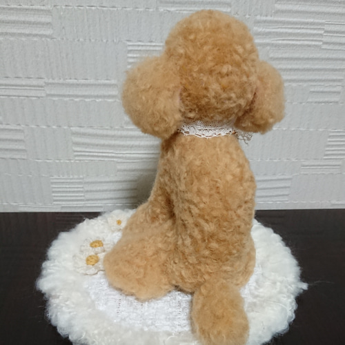 羊毛フェルト。。。トイプードル アプリコット 羊毛フェルト mon