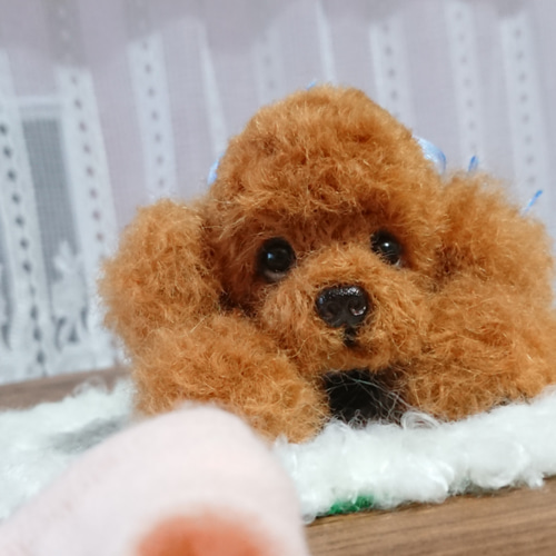 再販〜どうしたの？…レッドトイプードル…羊毛フェルト 羊毛フェルト