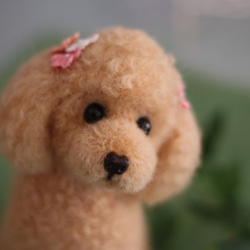 羊毛フェルト　トイプードル　♥プロフ☆必読お願いします。　おまとめ２点 羊毛フェルト ちょっと大きめ アプリコットトイプードル 羊毛フェルト