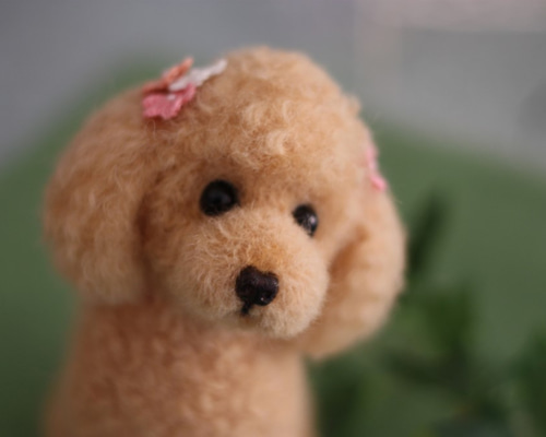 トイプードル❤️ハンドメイド❤️羊毛フェルト　　　　　　　　お迎え決まりました。 トイプードル❤️ハンドメイド❤️ お迎え決まりました♥️