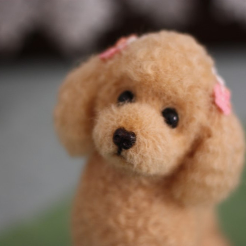 羊毛フェルト 毛糸 トイプードル（レッド）大きめ❣️23cm 羊毛フェルト 毛糸 トイプードル（レッド）大きめ❣️23cm