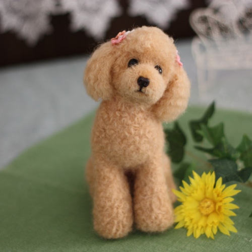 羊毛フェルトオーダー♡アプリコットプードルちゃん実物大。確認用 羊毛フェルトオーダー♡アプリコットプードルちゃん実物大。確認用