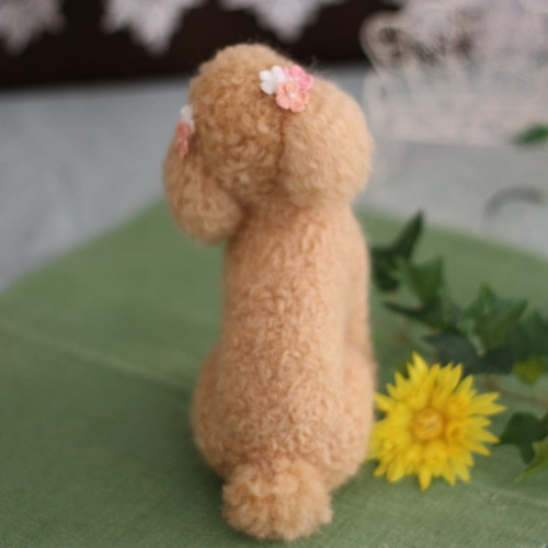 羊毛フェルト ちょっと大きめ アプリコットトイプードル 羊毛フェルト