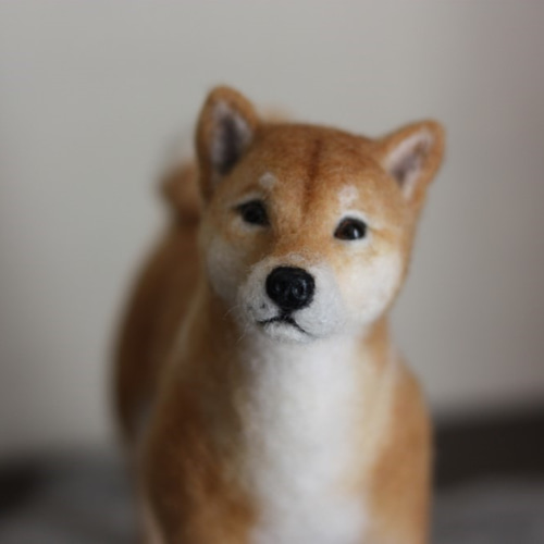 羊毛フェルト　柴犬　momoichigo 羊毛フェルト 柴犬 momoichigo 【公式通販】