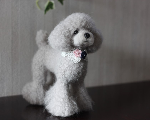 トイプードル❤️ハンドメイド❤️羊毛フェルト お迎え決まりました