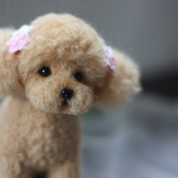 羊毛フェルトリアル 柴犬 羊毛フェルト mon＊ange ぴのこ 通販 5255537